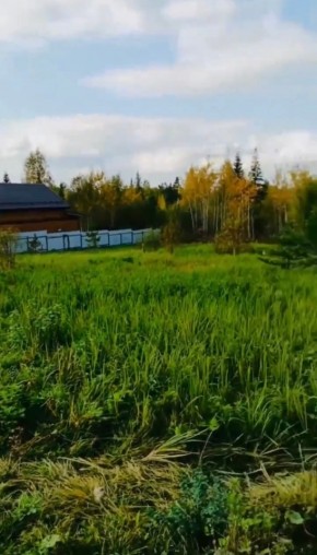 ДП Родной в Верхнем Тагиле - verhnij-tagil.yutvil.ru