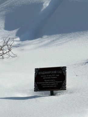 ДП Родной в Верхнем Тагиле - verhnij-tagil.yutvil.ru - фото 11