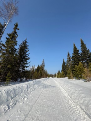 ДП Родной в Верхнем Тагиле - verhnij-tagil.yutvil.ru - фото 7
