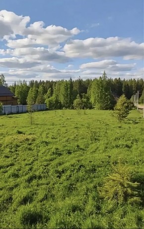 ДП Родной в Верхнем Тагиле - verhnij-tagil.yutvil.ru - фото 4