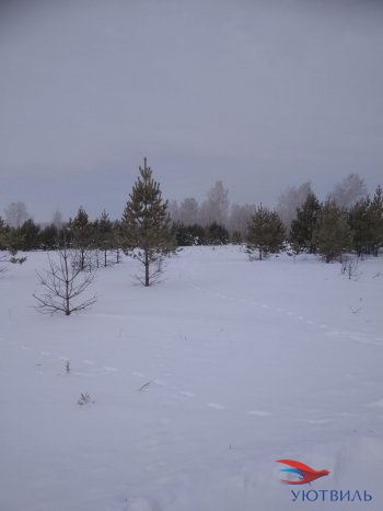 Земельный участок поселок Баженово в Верхнем Тагиле - verhnij-tagil.yutvil.ru - фото 5