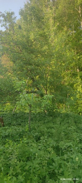 г Верхняя пышма, СНТ Мираж, уч.№ 99 в Верхнем Тагиле - verhnij-tagil.yutvil.ru - фото 10