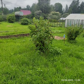 г Верхняя пышма, СНТ Мираж, уч.№ 99 в Верхнем Тагиле - verhnij-tagil.yutvil.ru - фото 11