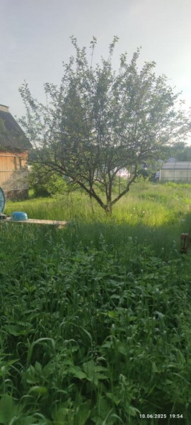г Верхняя пышма, СНТ Мираж, уч.№ 99 в Верхнем Тагиле - verhnij-tagil.yutvil.ru - фото 19