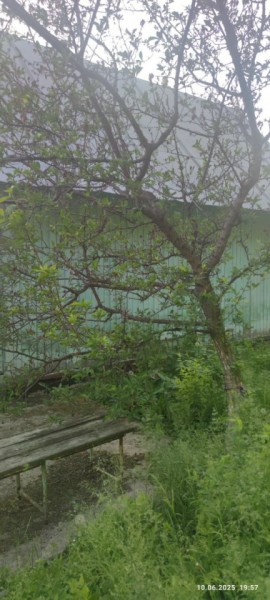 г Верхняя пышма, СНТ Мираж, уч.№ 99 в Верхнем Тагиле - verhnij-tagil.yutvil.ru - фото 26