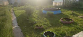 г Верхняя пышма, СНТ Мираж, уч.№ 99 в Верхнем Тагиле - verhnij-tagil.yutvil.ru - фото 5