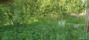 г Верхняя пышма, СНТ Мираж, уч.№ 99 в Верхнем Тагиле - verhnij-tagil.yutvil.ru - фото 7