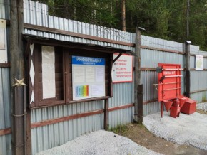 г.Верхняя Пышма СНТ №5 Березки в кв. 22 Среднеуральского Уралмашевского лесхоза в Верхнем Тагиле - verhnij-tagil.yutvil.ru - фото 18
