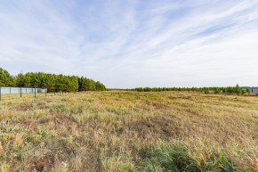 Российская Федерация, Свердловская область, Сысертский городской округ, территория садоводческого некоммерческого товарищества Бобровские дачи, улица Каштановая, земельный участок № 38 в Верхнем Тагиле - verhnij-tagil.yutvil.ru - фото 16