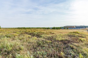 Российская Федерация, Свердловская область, Сысертский городской округ, территория садоводческого некоммерческого товарищества Бобровские дачи, улица Каштановая, земельный участок № 38 в Верхнем Тагиле - verhnij-tagil.yutvil.ru - фото 24