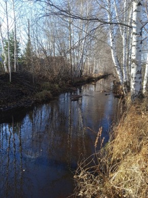 СНТ Берёзка в Верхнем Тагиле - verhnij-tagil.yutvil.ru - фото 14
