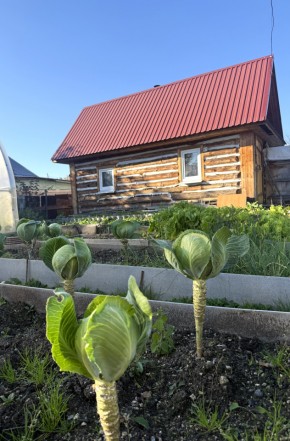 СНТ Дорожник в Верхнем Тагиле - verhnij-tagil.yutvil.ru - фото 19