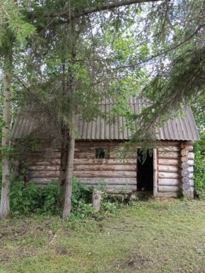 СНТ Калининец-10, уч. 1-11-3 в Верхнем Тагиле - verhnij-tagil.yutvil.ru - фото 2 СНТ Калининец-10, уч. 1-11-3 в Верхнем Тагиле - verhnij-tagil.yutvil.ru - фото 2