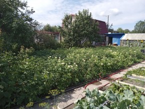 СНТ Медик-2 в Верхнем Тагиле - verhnij-tagil.yutvil.ru - фото 6