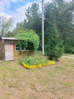 СНТ Родники в Верхнем Тагиле - verhnij-tagil.yutvil.ru - фото 2