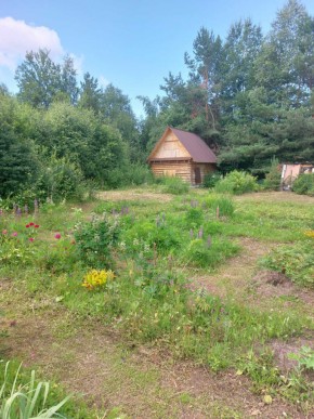 СНТ Родники в Верхнем Тагиле - verhnij-tagil.yutvil.ru - фото 3