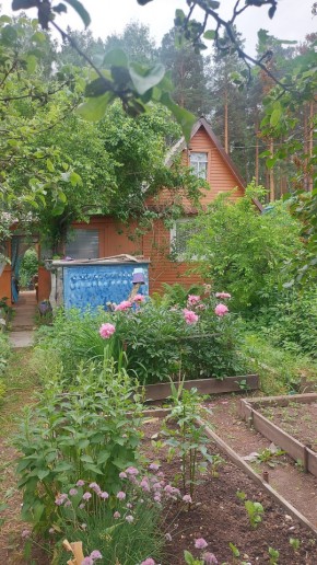 СНТ Садовод-24 в Верхнем Тагиле - verhnij-tagil.yutvil.ru