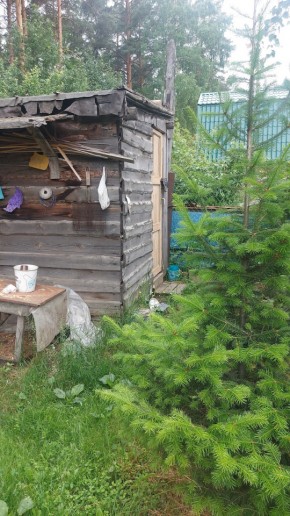 Екатеринбург, СНТ Садовод-24 в Верхнем Тагиле - verhnij-tagil.yutvil.ru - фото 13
