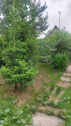 Екатеринбург, СНТ Садовод-24 в Верхнем Тагиле - verhnij-tagil.yutvil.ru - фото 15