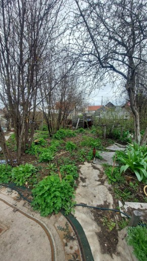 СНТ Сирень, уч. 38 в Верхнем Тагиле - verhnij-tagil.yutvil.ru - фото 7