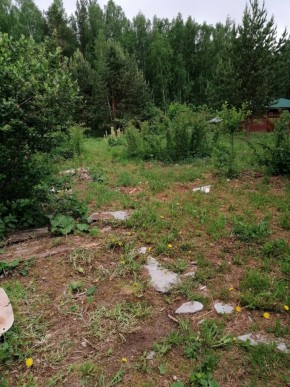 СТН Семья №112, Верхняя пышма на землях бывшего подсобного хозяйтва верхнепышминского опытного завода в Верхнем Тагиле - verhnij-tagil.yutvil.ru - фото 17 СТН Семья №112, Верхняя пышма на землях бывшего подсобного хозяйтва верхнепышминского опытного завода в Верхнем Тагиле - verhnij-tagil.yutvil.ru - фото 17