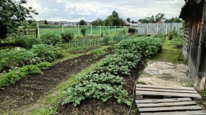 ул. 8-е Марта,46 в Верхнем Тагиле - verhnij-tagil.yutvil.ru - фото 5