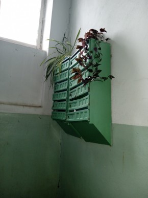 ул. Бажова,11 в Верхнем Тагиле - verhnij-tagil.yutvil.ru - фото 2 ул. Бажова,11 в Верхнем Тагиле - verhnij-tagil.yutvil.ru - фото 2