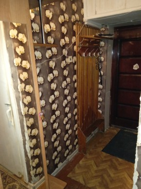 ул. Бажова,11 в Верхнем Тагиле - verhnij-tagil.yutvil.ru - фото 9