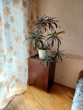 ул. Индустрии,29 в Верхнем Тагиле - verhnij-tagil.yutvil.ru - фото 4