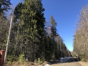 ул. Калиновая,9 в Верхнем Тагиле - verhnij-tagil.yutvil.ru - фото 4 ул. Калиновая,9 в Верхнем Тагиле - verhnij-tagil.yutvil.ru - фото 4