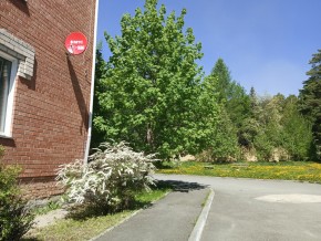 ул. Сосновая, 8 в Верхнем Тагиле - verhnij-tagil.yutvil.ru - фото 25