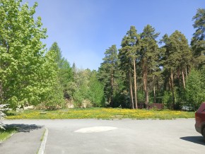 ул. Сосновая, 8 в Верхнем Тагиле - verhnij-tagil.yutvil.ru - фото 26