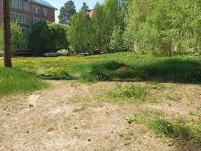 ул. Сосновая, 8 в Верхнем Тагиле - verhnij-tagil.yutvil.ru - фото 33