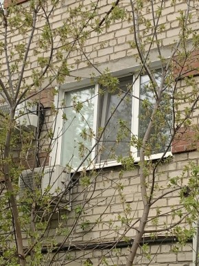 ул. Таганская,8 в Верхнем Тагиле - verhnij-tagil.yutvil.ru - фото 14