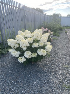 ул. Весенняя,12 в Верхнем Тагиле - verhnij-tagil.yutvil.ru - фото 20